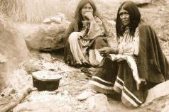 Расшифровка древней днк рассказала о происхождении южноамериканских индейцев Происхождение индейцев