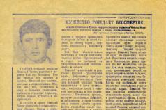 Чепик николай петрович герой советского союза